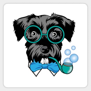 Gentleman Schnauzer Magnet